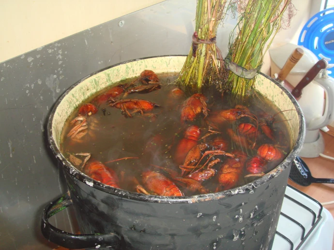 выпуск 1987 - юбилей 20 лет