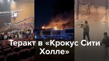 Теракт в Крокус-Сити