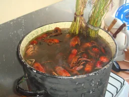 выпуск 1987 - юбилей 20 лет