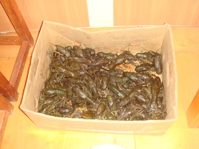 выпуск 1987 - юбилей 20 лет