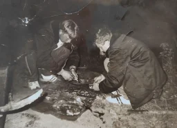 Вова Романович